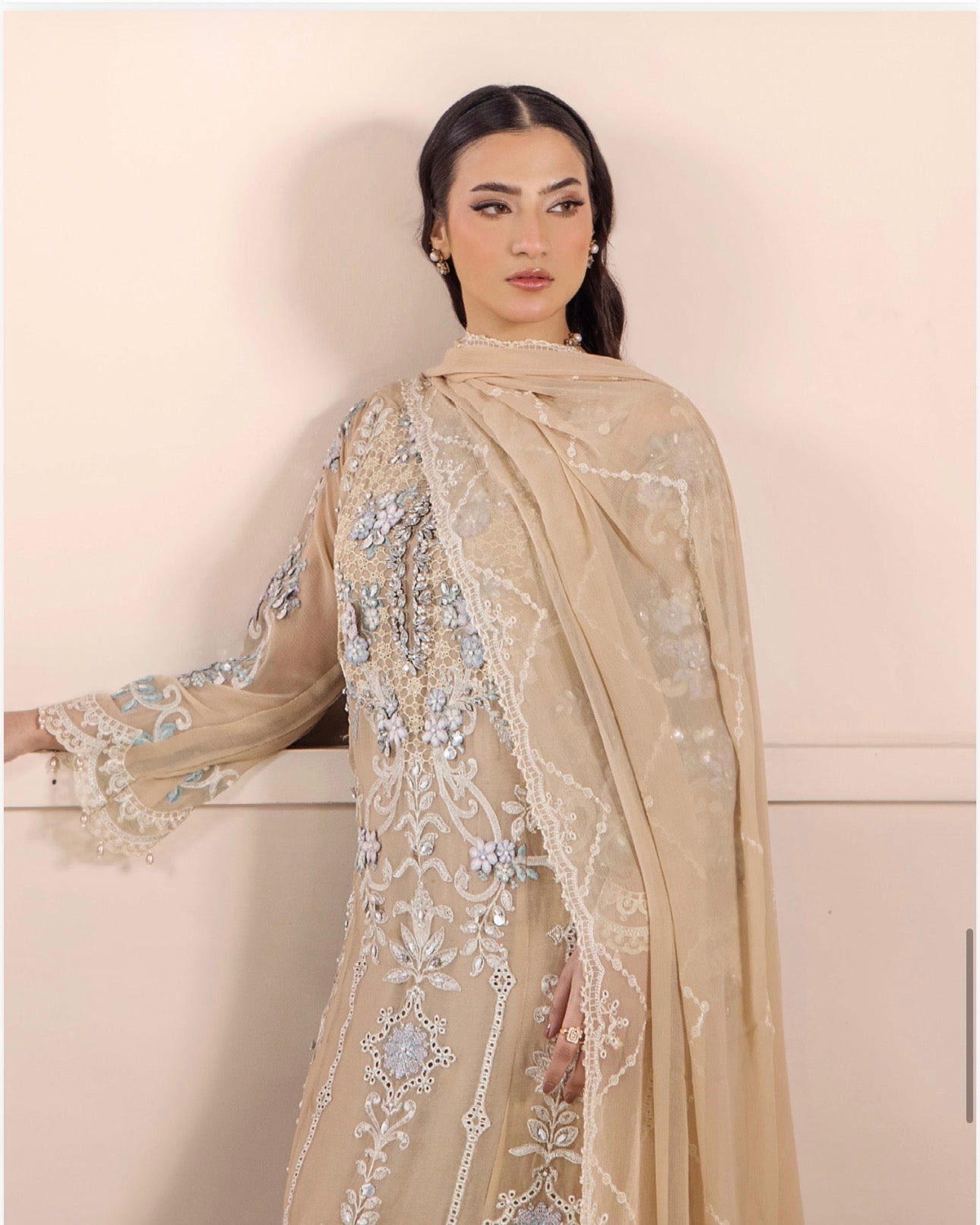 THREADS-3 piece Embroidered Chiffon Suit