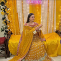 HASEENA-heavy Embroidered Bridal Chiffon Maxi dress