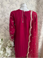 ETHNIC LUX- 3 piece Embroidered viscose Suit
