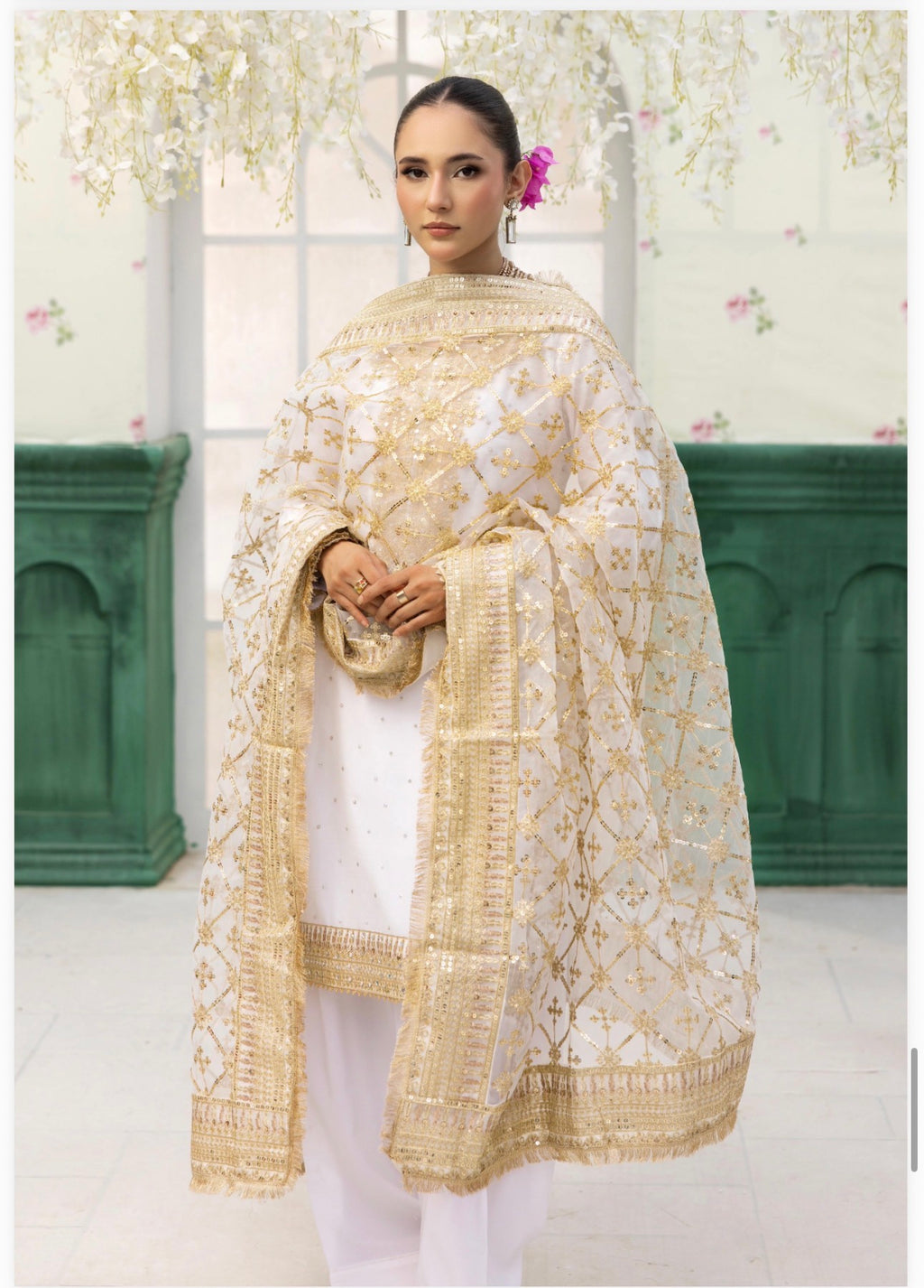 HAYA- 3 pcs embroidered chiffon suit with heavy embroidered organza duppatta