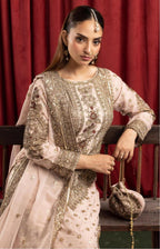 ASHIANA- heavy embroidered chiffon suit