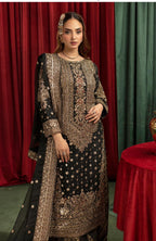 ASHIANA- heavy embroidered chiffon suit