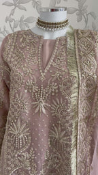 AFROZ Blush Pink- 3 piece Embroidered soft Organza suit